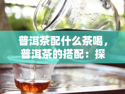 普洱茶配什么茶喝，普洱茶的搭配：探索茶叶世界的完美口感组合