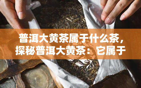 普洱大黄茶属于什么茶，探秘普洱大黄茶：它属于哪一类茶？