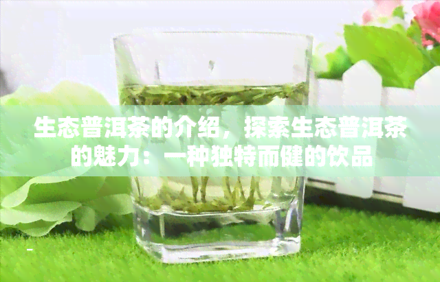 生态普洱茶的介绍，探索生态普洱茶的魅力：一种独特而健的饮品