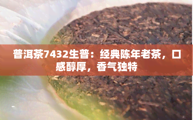 普洱茶7432生普：经典陈年老茶，口感醇厚，香气独特