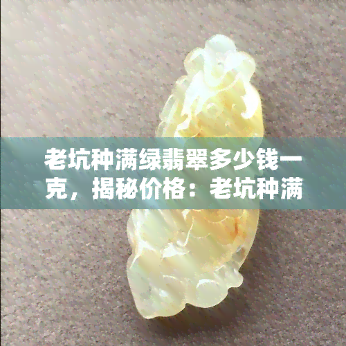 老坑种满绿翡翠多少钱一克，揭秘价格：老坑种满绿翡翠每克价值多少？