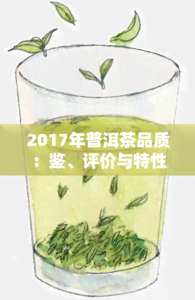 2017年普洱茶品质：鉴、评价与特性，价格解析