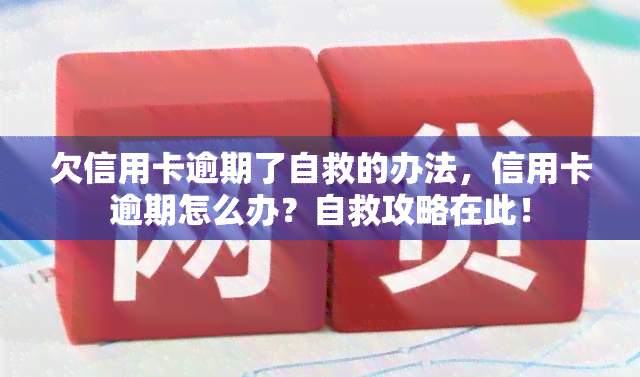 欠信用卡逾期了自救的办法，信用卡逾期怎么办？自救攻略在此！