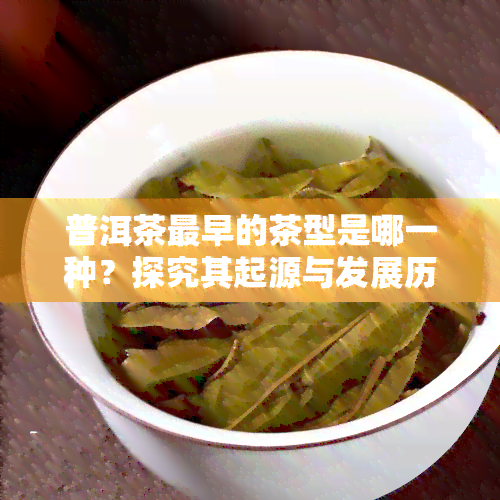 普洱茶最早的茶型是哪一种？探究其起源与发展历程