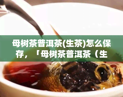 母树茶普洱茶(生茶)怎么保存，「母树茶普洱茶（生茶）」的保存方法：让茶叶保持口感与香气！