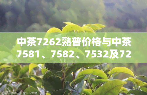 中茶7262熟普价格与中茶7581、7582、7532及7222的价格比较