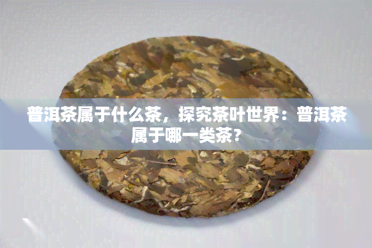 普洱茶属于什么茶，探究茶叶世界：普洱茶属于哪一类茶？