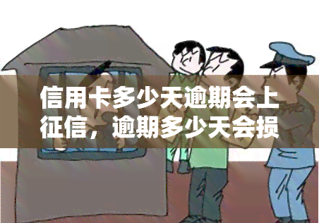 信用卡多少天逾期会上，逾期多少天会损害你的信用记录？——信用卡逾期与的关系