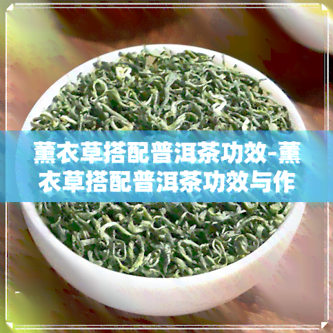 薰衣草搭配普洱茶功效-薰衣草搭配普洱茶功效与作用