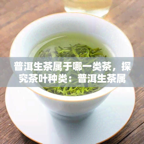 普洱生茶属于哪一类茶，探究茶叶种类：普洱生茶属于哪一类茶？