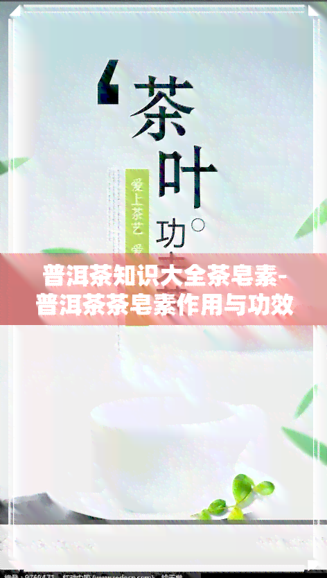 普洱茶知识大全茶皂素-普洱茶茶皂素作用与功效