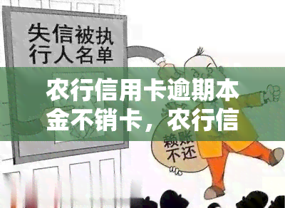 农行信用卡逾期本金不销卡，农行信用卡逾期未还，本金仍在账单中，如何避免销卡影响信用记录？