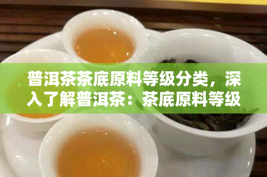 普洱茶茶底原料等级分类，深入了解普洱茶：茶底原料等级的分类与区别