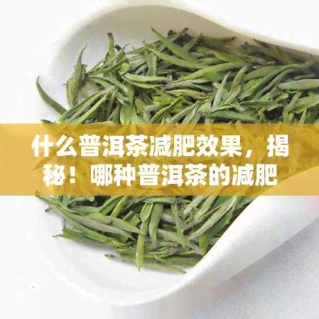 什么普洱茶减肥效果，揭秘！哪种普洱茶的减肥效果？