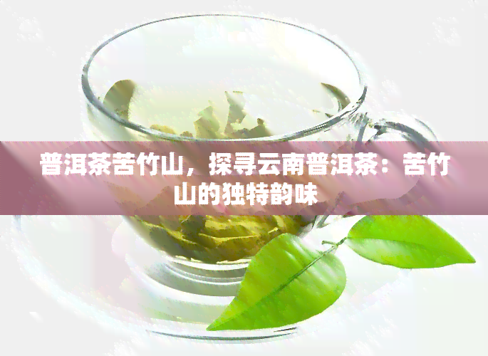 普洱茶苦竹山，探寻云南普洱茶：苦竹山的独特韵味