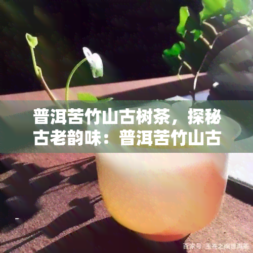 普洱苦竹山古树茶，探秘古老韵味：普洱苦竹山古树茶的魅力与故事