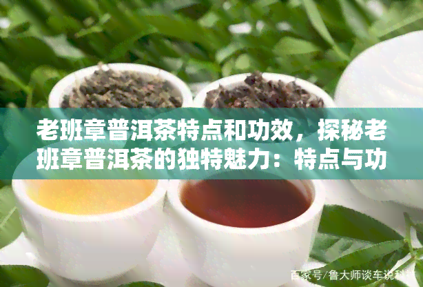 老班章普洱茶特点和功效，探秘老班章普洱茶的独特魅力：特点与功效解析