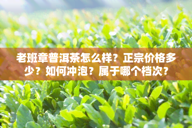 老班章普洱茶怎么样？正宗价格多少？如何冲泡？属于哪个档次？