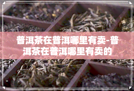 普洱茶在普洱哪里有卖-普洱茶在普洱哪里有卖的