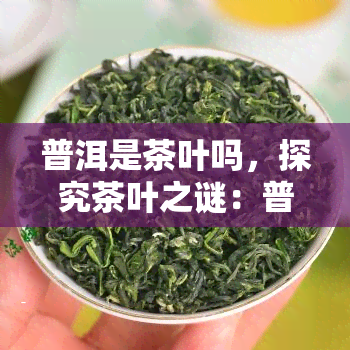 普洱是茶叶吗，探究茶叶之谜：普洱茶是什么？