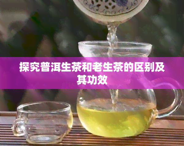 探究普洱生茶和老生茶的区别及其功效