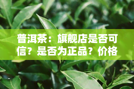 普洱茶：旗舰店是否可信？是否为正品？价格及热卖前十名如何？