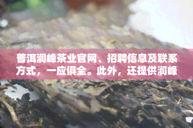 普洱润峰茶业官网、招聘信息及联系方式，一应俱全。此外，还提供润峰祥普洱茶膏的价格信息。