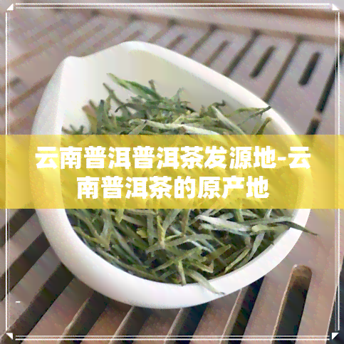 云南普洱普洱茶发源地-云南普洱茶的原产地