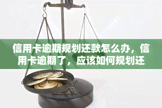 信用卡逾期规划还款怎么办，信用卡逾期了，应该如何规划还款呢？