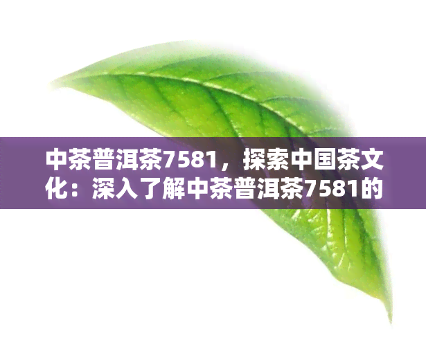 中茶普洱茶7581，探索中国茶文化：深入了解中茶普洱茶7581的制作工艺和品尝体验