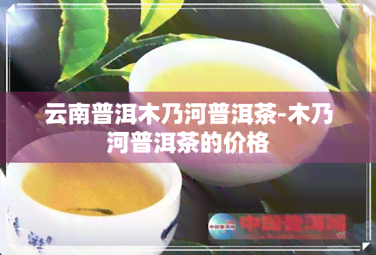 云南普洱木乃河普洱茶-木乃河普洱茶的价格