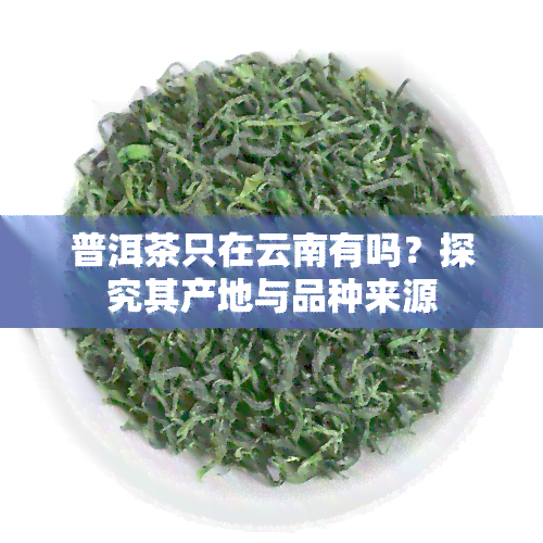 普洱茶只在云南有吗？探究其产地与品种来源