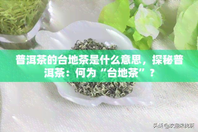 普洱茶的台地茶是什么意思，探秘普洱茶：何为“台地茶”？