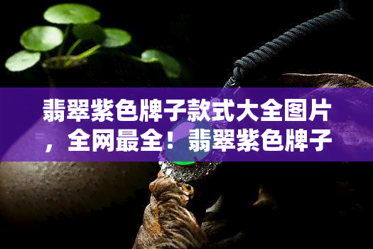 翡翠紫色牌子款式大全图片，全网最全！翡翠紫色牌子款式大全图片大放送！