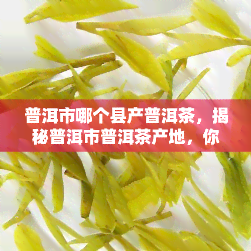 普洱市哪个县产普洱茶，揭秘普洱市普洱茶产地，你不可错过的茶叶天堂！