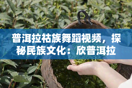 普洱拉祜族舞蹈视频，探秘民族文化：欣普洱拉祜族独特的舞蹈艺术