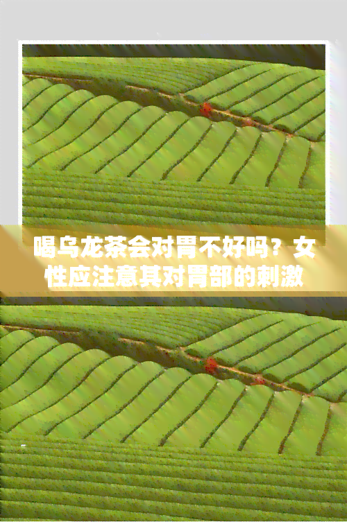 喝乌龙茶会对胃不好吗？女性应注意其对胃部的刺激程度