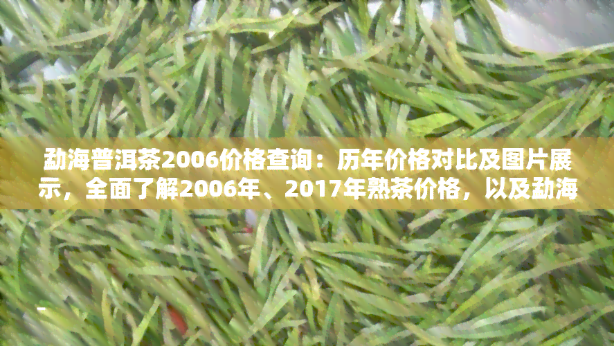 勐海普洱茶2006价格查询：历年价格对比及图片展示，全面了解2006年、2017年熟茶价格，以及勐海茶厂茶饼价格