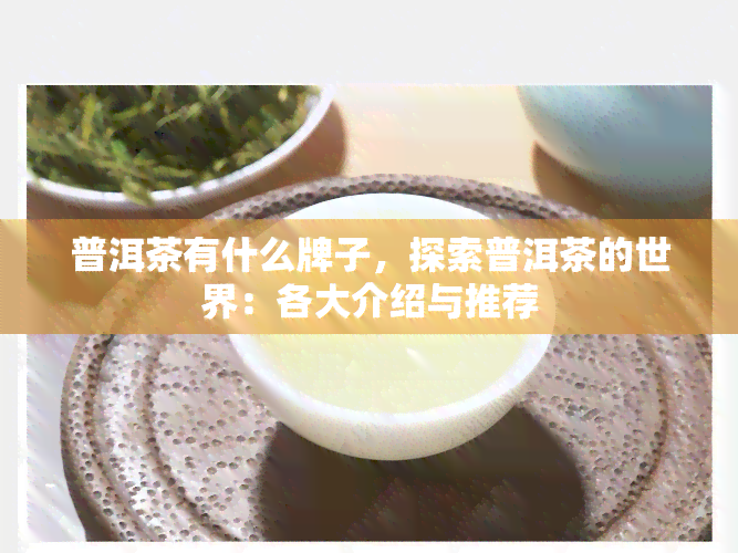 普洱茶有什么牌子，探索普洱茶的世界：各大介绍与推荐