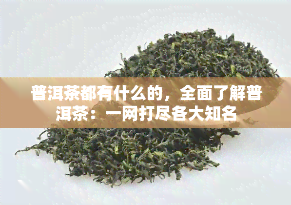 普洱茶都有什么的，全面了解普洱茶：一网打尽各大知名