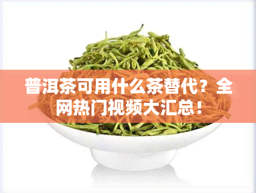 普洱茶可用什么茶替代？全网热门视频大汇总！