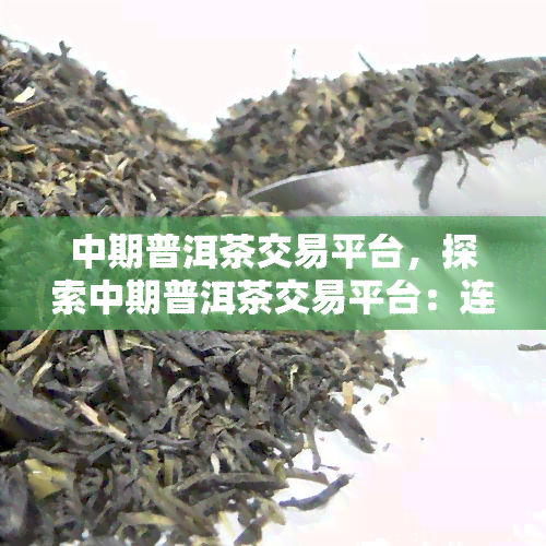 中期普洱茶交易平台，探索中期普洱茶交易平台：连接买家与卖家的桥