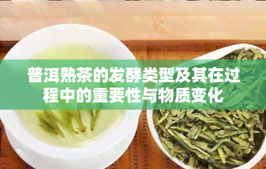 普洱熟茶的发酵类型及其在过程中的重要性与物质变化