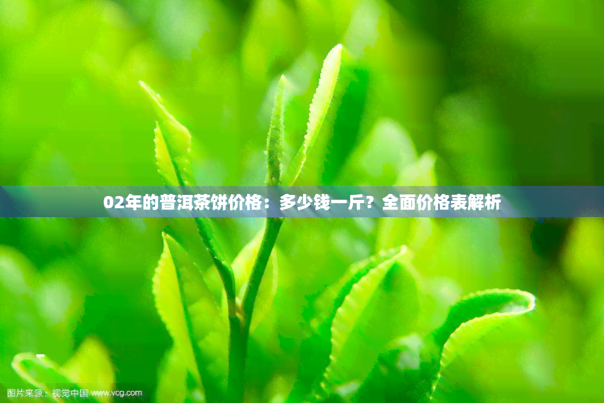 02年的普洱茶饼价格：多少钱一斤？全面价格表解析