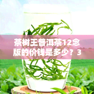 茶树王普洱茶12念版的价钱是多少？357克、礼盒装与普通款的区别及价格对比