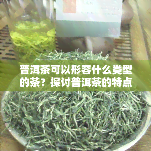 普洱茶可以形容什么类型的茶？探讨普洱茶的特点及其适合的人群