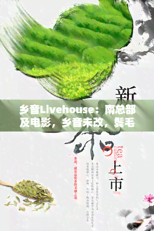 乡音Livehouse：南总部及电影，乡音未改，鬓毛衰（shuai/cui）