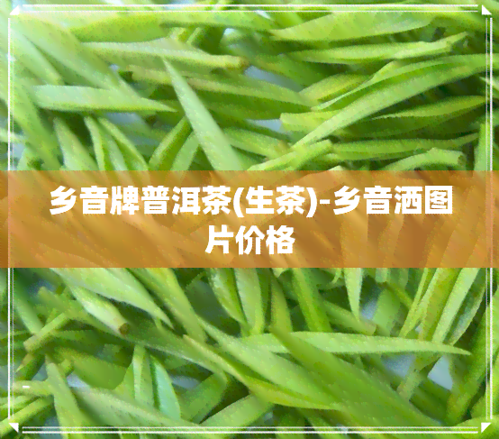 乡音牌普洱茶(生茶)-乡音洒图片价格