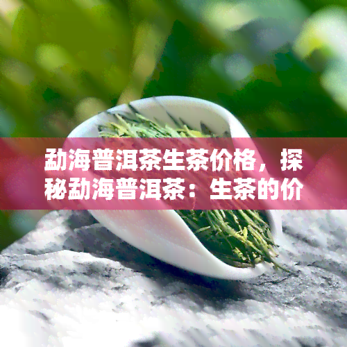 勐海普洱茶生茶价格，探秘勐海普洱茶：生茶的价格解析与选购指南