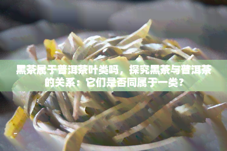 黑茶属于普洱茶叶类吗，探究黑茶与普洱茶的关系：它们是否同属于一类？